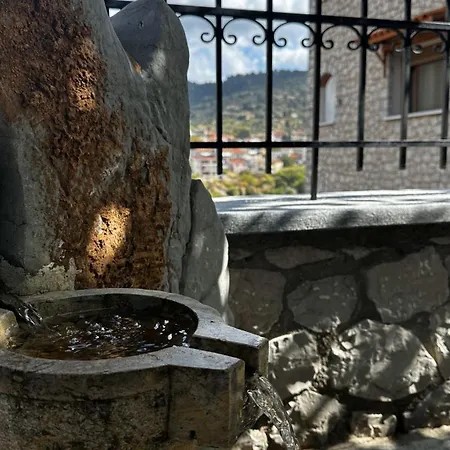 το πέτρινο